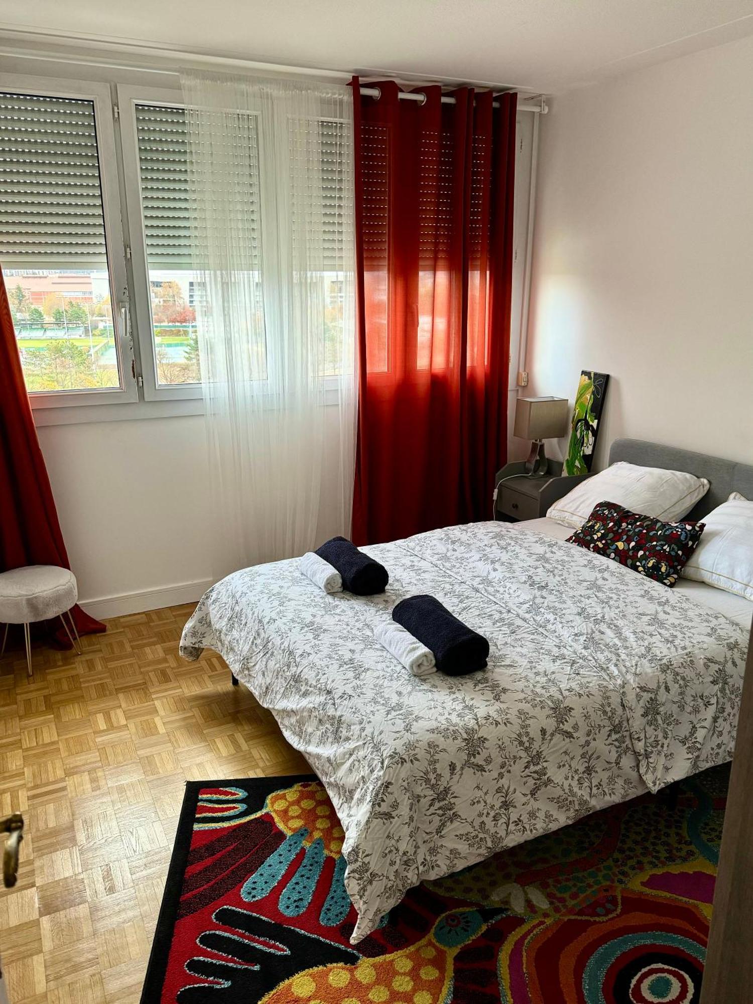 Bergson Top - Appart 80M2, 2 Grandes Chambres, Entierement Renovee Et Equipee, Lumineux, Wifi, Balcon, Calme, Vue Imprenable Saint-Etienne  Exterior foto